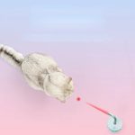 Katzen Laser-Wackel Spielzeug – Bild 5