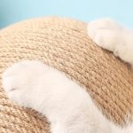 Katzen Kratzkugel aus Sisal – Bild 8