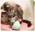 Katzen Laser-Wackel Spielzeug – Bild 4