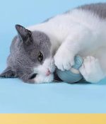 Interaktiver Katzen Spielball – Bild 2