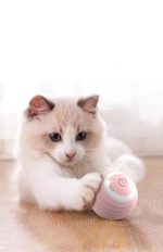 Interaktiver Katzen Spielball – Bild 3
