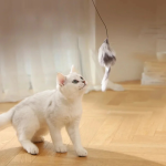 Katzen Turboball mit Schwanz Spielzeug – Bild 2