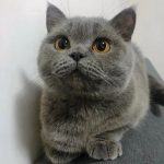 Nina