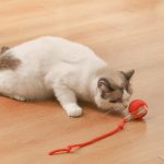 Palla intelligente automatica per animali domestici - immagine 3
