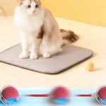Palla intelligente automatica per animali domestici - immagine 5