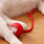 Palla intelligente automatica per animali domestici - immagine 9