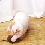 Topo Giocattolo per Gatti e Cani - immagine 7